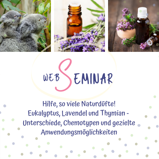 Web-Seminar Eukalyptus, Lavendel, Thymian - Sabrina Herber & Eliane Zimmermann