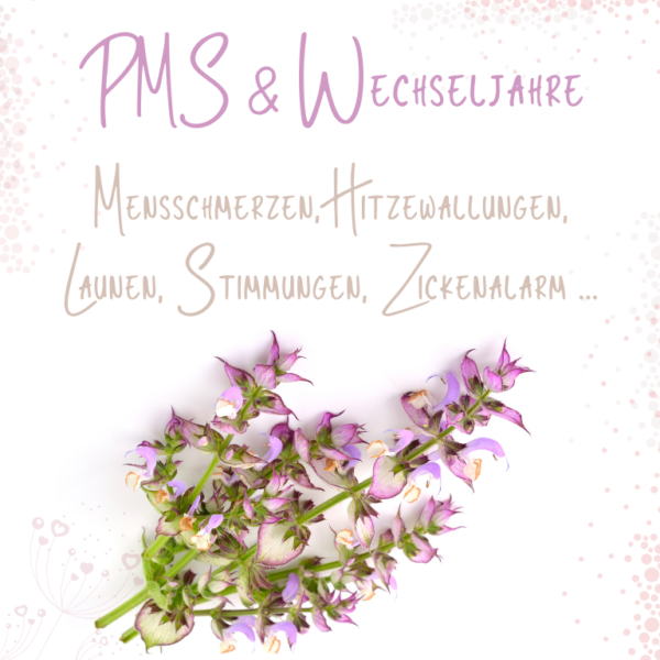 Web-Seminar PMS & Wechseljahre - Sabrina Herber und Eliane Zimmermann