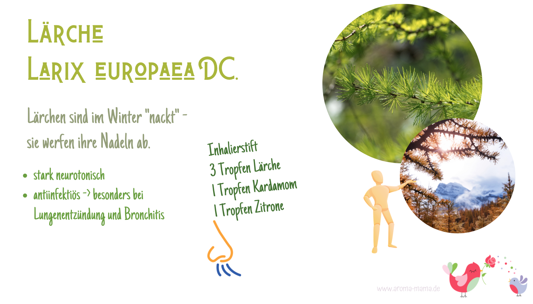 webseminar_Waldöle_vivere
