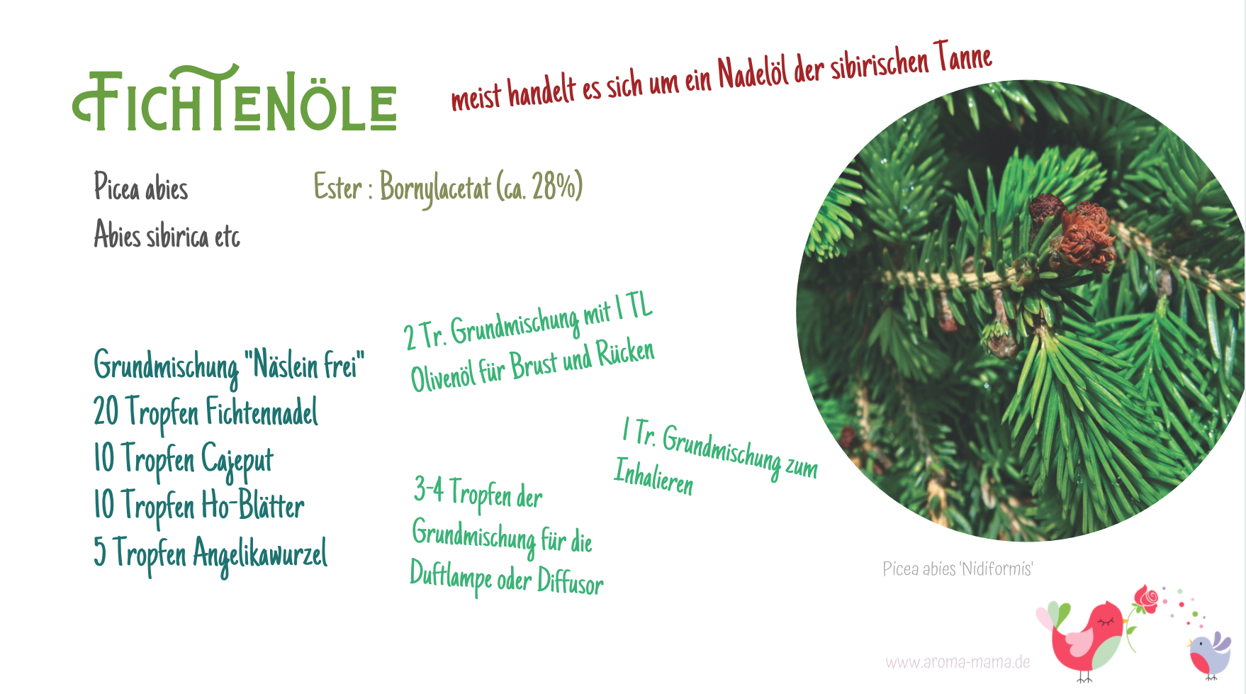 webseminar_baumöle_vivere