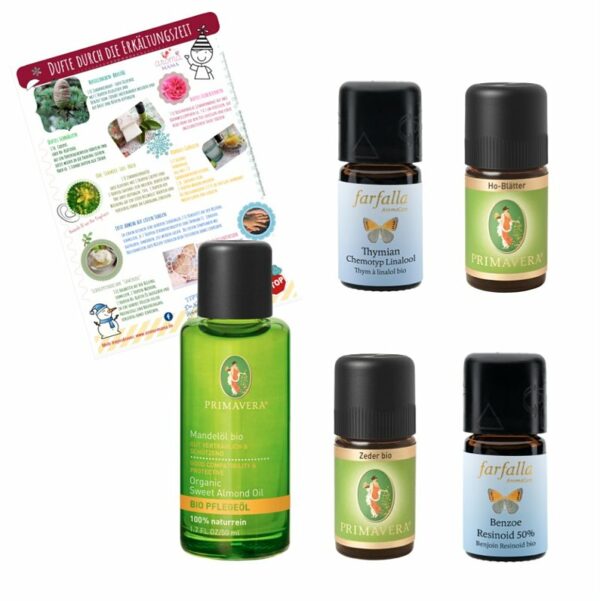 Basilikum bio ViVere Aromapflege