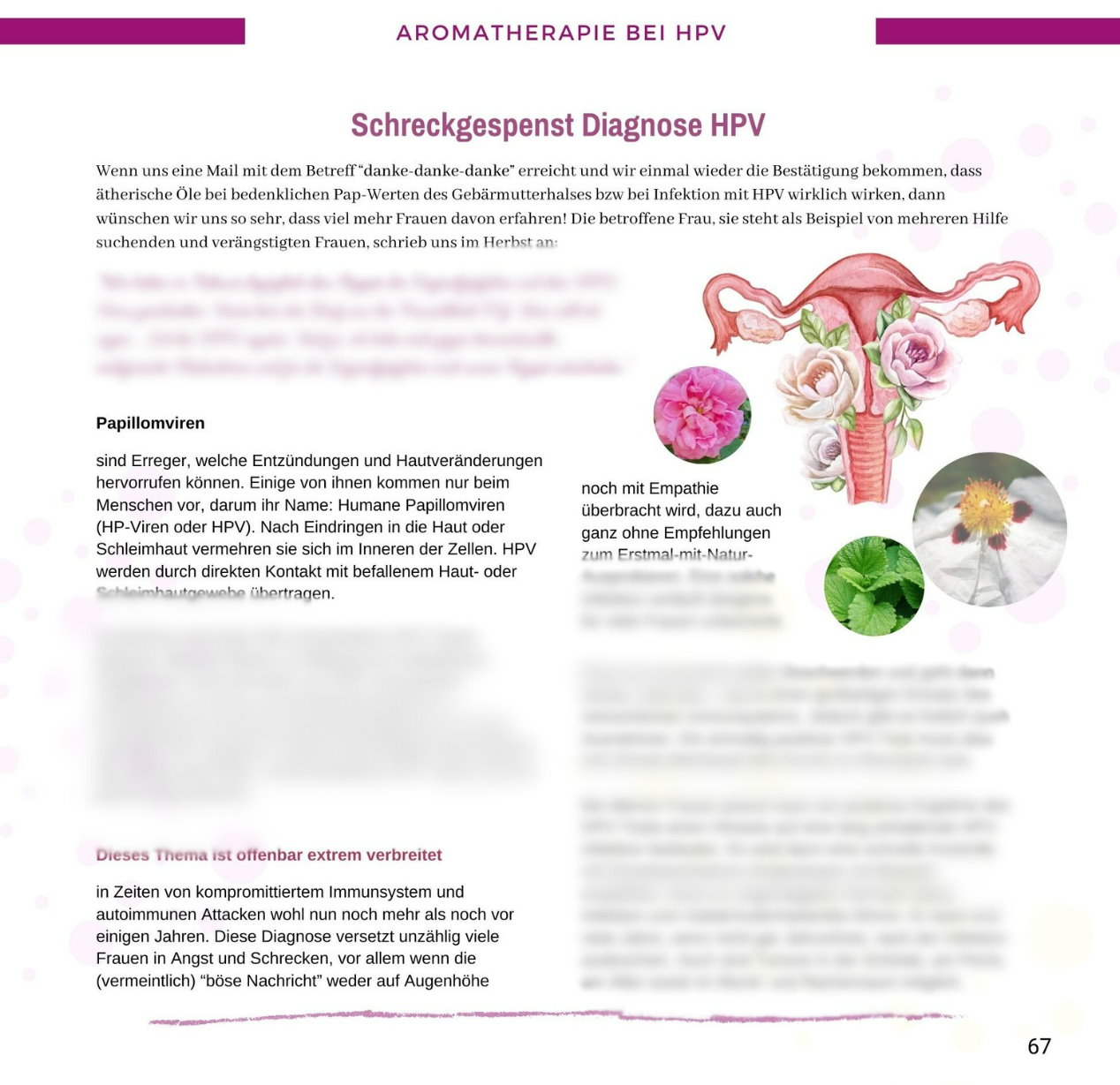 Onko Ratgeber Neuauflage2024 HPV ViVere