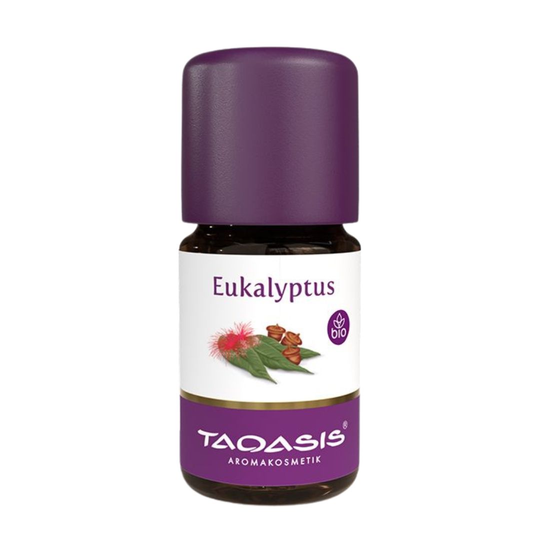 Taoasis_Eukalyptus_globulus_ViVere